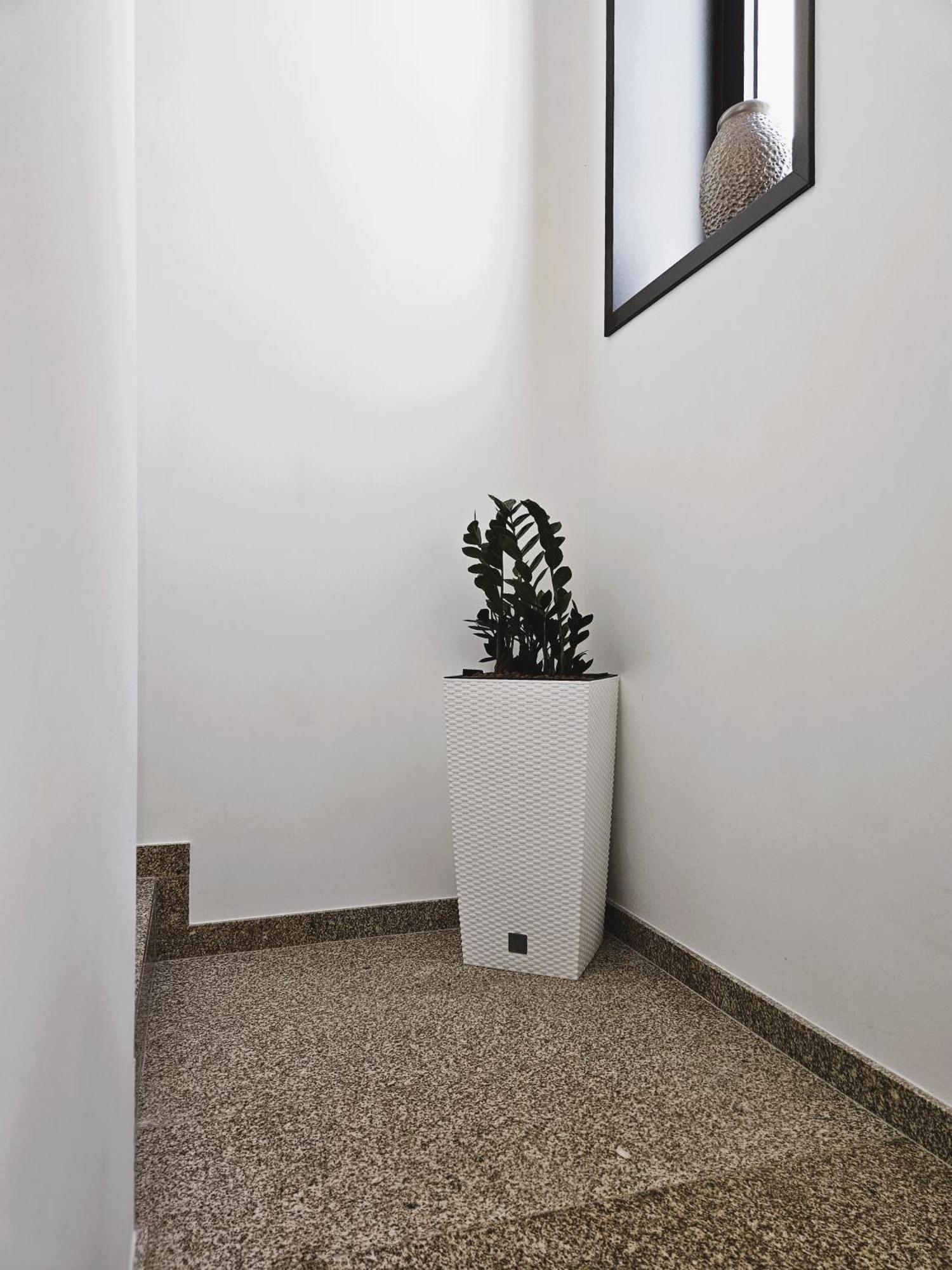 Casa Do Moinho Apartment Cabeceiras de Basto Ngoại thất bức ảnh